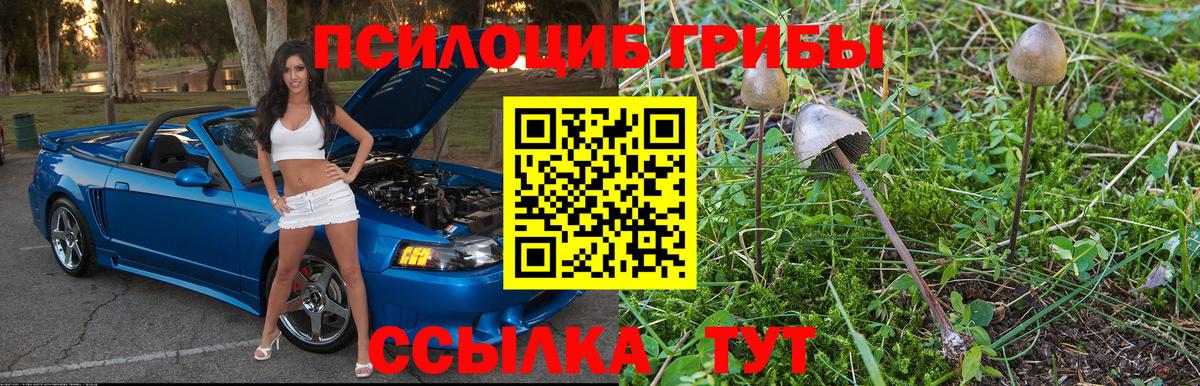 Галлюциногенные грибы прущие грибы  Вход с VPN  Всеволожск 