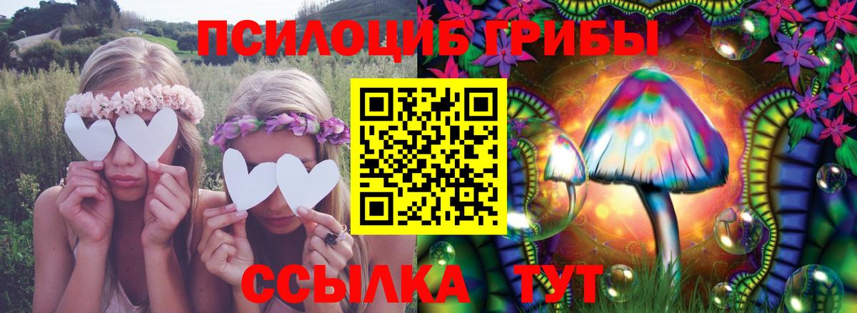 Псилоцибиновые грибы Magic Shrooms Всеволожск